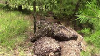 Geologist Doug Hanson Of Arkansas Geological Survey Investigates Conglomerates At American Mine [upl. by Home]