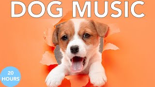 Relax My Dog Music Deep Separation Anxiety Music to Calm Dogs [upl. by Ykcir]