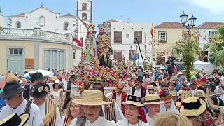 GARACHICO Romería San Roque 2024 [upl. by Attiuqram855]