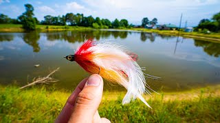 Fly Fishing a TROPHY BASS POND with BIG STREAMERS [upl. by Juli]