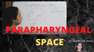 170Parapharyngeal space Anatomy Parapharyngeal space anatomylectures [upl. by Grosvenor]