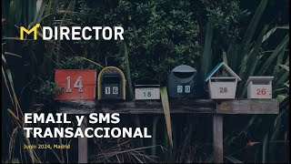 MDirector Email y SMS transaccional [upl. by Anaytat]