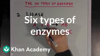 Six types of enzymes  Chemical Processes  MCAT  Khan Academy [upl. by Ibba817]