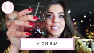 VLOG 36  Opening quotDe Kleine Valkquot [upl. by Leonanie]