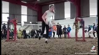 Hobby Horse Jumping at Hobby Horse Adventures [upl. by Ytiak]