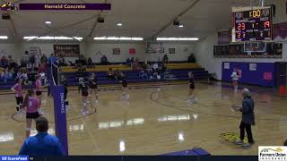 HerreidSelby Area Wolverines vs Faulkton Area VB [upl. by Etti]