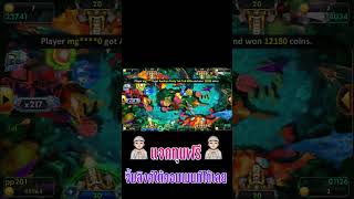 เกมยิงปลา Starvegas เกมยิงปลาออนไลน์ ➤ ค่ายWAMA สต้าเวกัส [upl. by Hartfield]