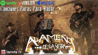 Los Alameños De La Sierra Mix 2024 Lo Más Chingon  Puros Huapangos  Puras Cumbias Para Bailar [upl. by Ricky]