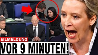 WEIDEL GREIFT BAERBOCK AN 🚨 BUNDESTAG IST IM CHAOS 🚨 DIE REDE DER AFD IST SCHOCKIEREND [upl. by Asimaj]