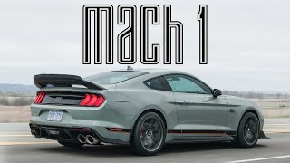 PERFECTION 2021 Ford Mustang Mach 1 Review [upl. by Arretahs528]