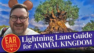 Lightning Lane Strategy for Animal Kingdom Our Best Tips for Multi Pass at Walt Disney World [upl. by Aniratak587]