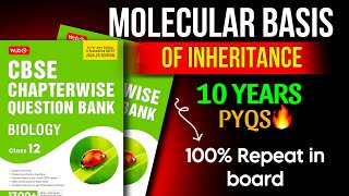 CBSE Class 12 Molecular Basis of Inheritance PYQs 202425  Most Important Questions amp Solutions [upl. by Imat]