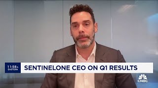 SentinelOne CEO on Q1 Pleased with performance but software buying habits are changing [upl. by Ahselak250]