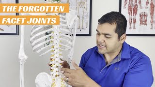 The Forgotten Facet Joints  Lower Back Pain  El Paso Manual Physical Therapy [upl. by Neirbo39]