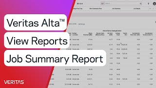 Veritas Alta™ View Reports Job Summary Report [upl. by Hartman549]