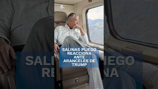 Esto piensa Salinas Pliego sobre la medida de aranceles de Donald Trump shorts [upl. by Kallista]