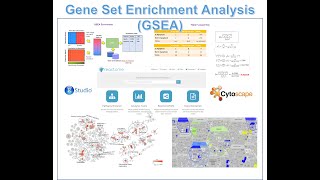 Gene Set Enrichment Analysis GSEA  Reactome Pathway Analysis [upl. by Adnwahsar523]