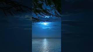 Night sea view nature youtubeshorts shorts viralvideo vira [upl. by Daus]