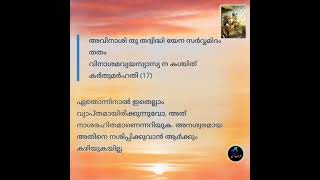 Bhagavad Gita Chapter 2 Verse 17 [upl. by Kordula]