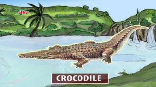 Play amp Learn Reptiles  Animated Series [upl. by Emlyn]