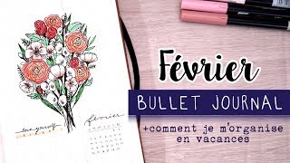 Bullet Journal Février 2020  ORGANISATION [upl. by Hoseia]