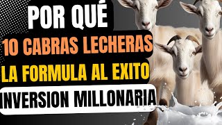 Secretos para alimentar cabras lecheras y ganar dinero [upl. by Noah982]