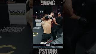 Knockdown Top Dog Prospect 16  Николай Чибис Чибисов vs Зейнал Psycho Гасанов TopDog knocked [upl. by Cristin]