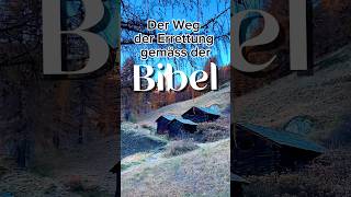 Der biblische Rettungsweg neuesleben ewigesleben hopebringer [upl. by Kcirdek]