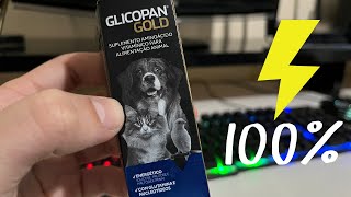 PORQUE USAR GLICOPAN GOLD EM AVES MINHA EXPERIÊNCIA COM O PRODUTO [upl. by Acie]