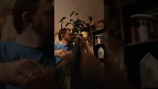 Tenth Moon double bass riff shorts groove doublebass [upl. by Eelanej]