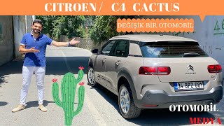 Citroen C4 Cactus 2019 16 Dizel  İnceleme [upl. by Charbonnier]