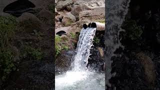 San Antonio hot springs Jemez Mountains New Mexico shortsvideo [upl. by Goodyear]