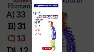 Anatomy MCQ 28 How many pairs of the spinal nerve are found in human [upl. by Esilegna]