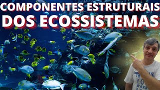 Componentes estruturais dos ecossistemas [upl. by Atekahs773]