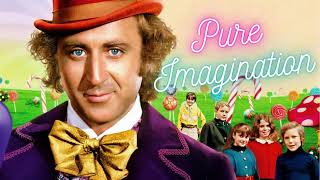 Pure Imagination by Gene Wilder from Willy Wonka karaoke cover [upl. by Morten108]