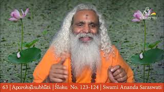 63  Aparokshanubhuti  Swami Ananda Saraswati  Verse No 123  124  Dhyana and Samadhi [upl. by Aicilav477]