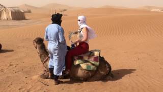 Camel standing up  Erg Chigaga Luxury Desert Camp Morocco [upl. by Ahtiekal]