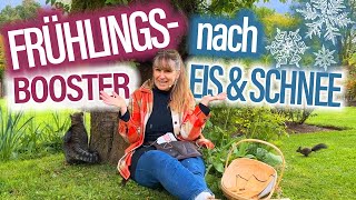 Nach KÄLTE Frühlings BOOSTER für ROSEN  spritzen pflegen düngen VORBEUGEN  MUTTERTAG Special [upl. by Virendra]