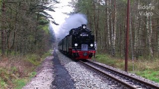 Eisenbahn 2012 25 Dampfloks  Steam Trains  Züge [upl. by Nasah758]