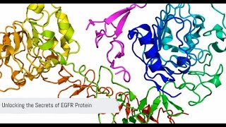 Unlocking the Secrets of EGFR Protein [upl. by Itteb]