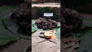 Nalla pasupu Kali Haldi  Black Turmeric Original  Available  Call me Original  9325837843 [upl. by Lotus]