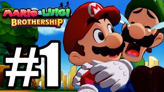 Mario amp Luigi Brothership Gameplay Walkthrough Part 1 [upl. by Nautna539]