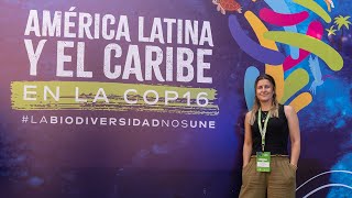 What happened at COP16 in Colombia [upl. by Ahsinehs]