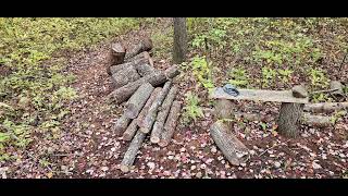 woodshed build firewood processing [upl. by Thomas]