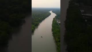 World largest mangrove forest Sunderban Bangladesh  drownshortmbangla vlogger24 [upl. by Yrovi]