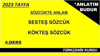 Sözcükte Anlam  Sesteş Sözcük  Kökteş Sözcük  Eş Sesli Sözcük  Ortak Kök [upl. by Htelimay]