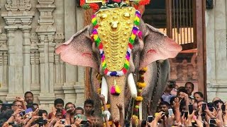 Kaanthaa Njaanum Varaam  Thrissur Pooram Song 2018 2019 [upl. by Ruddie]