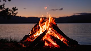 Live  Crackling Campfire at the Lake with Chirping Crickets at Dusk [upl. by Orel441]