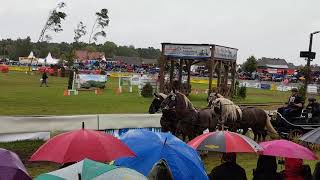 Titanen der Rennbahn Brück 2018 [upl. by Nolak]