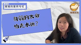 身弱的木来水运难顶？这个学霸的经历来解释缘由和聪明的应对方法！✨猪猪案例专栏✨ [upl. by Finkelstein]